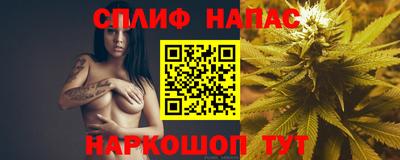 прущие грибы Гусев