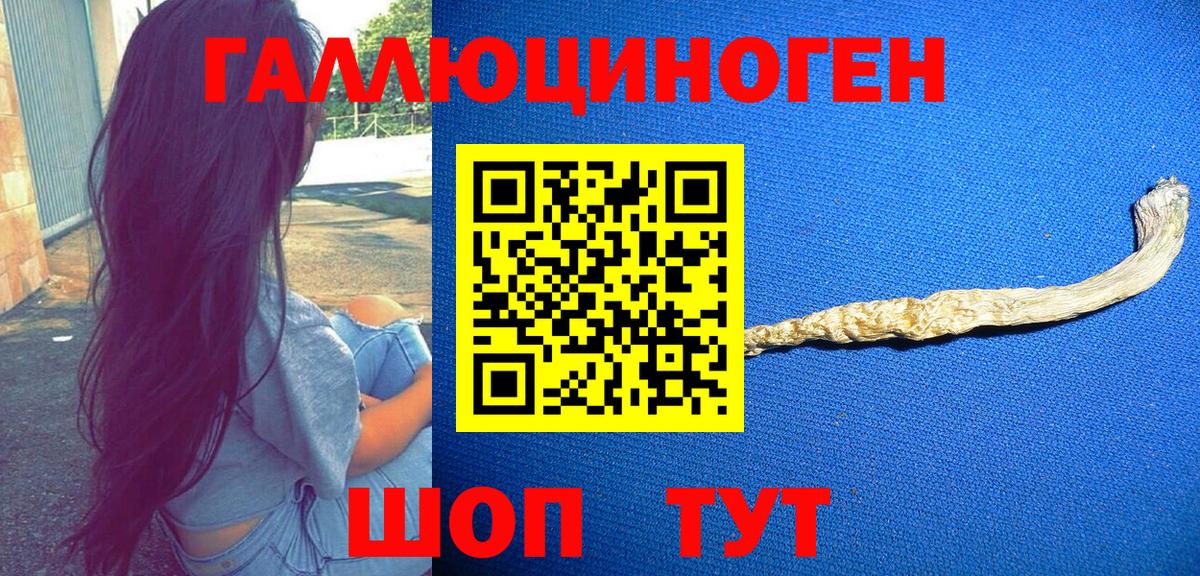 Галлюциногенные грибы MAGIC MUSHROOMS  Галлюциногенные грибы Psilocybine cubensis  Вход с VPN  Назарово 